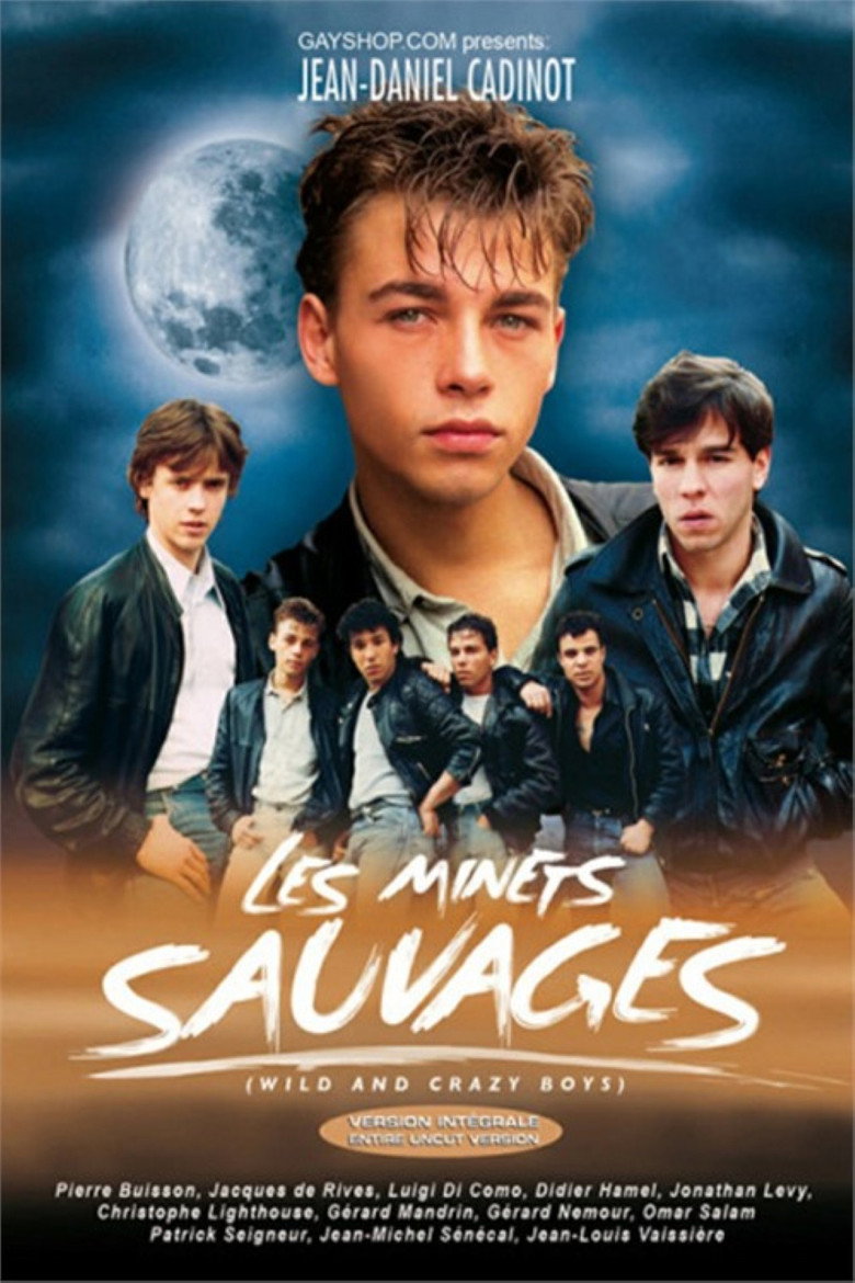 Affiche de LES MINETS SAUVAGES