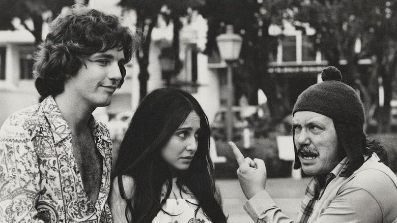 Camomila e Bem-Me-Quer backdrop