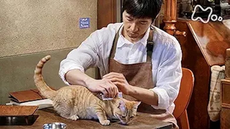 Still image for Blanket Cats season 1 episode 1: Episode 1 Still image for Blanket Cats season 1 episode 1: Episode 1