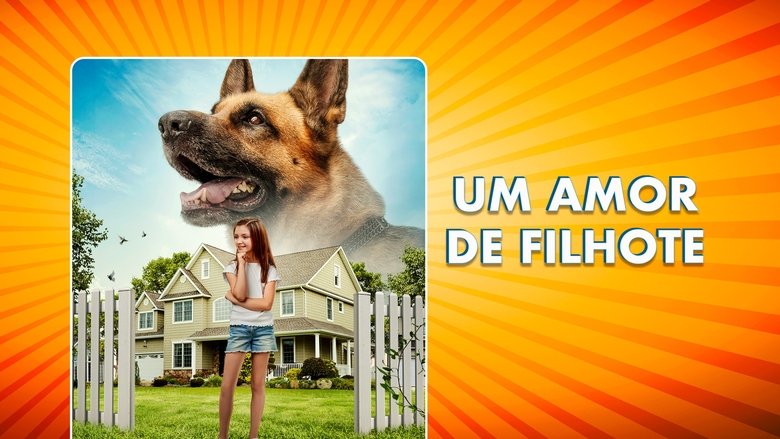 Gallery image from 86LUc5Zeh5a0HCpFYwIse26Q05d.jpg