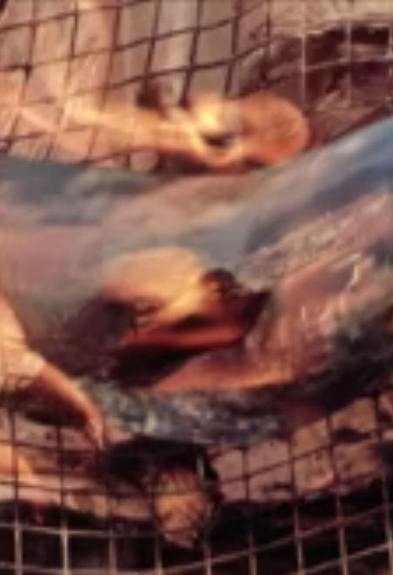 Imatge de Hong Kong Topography II: For Rent