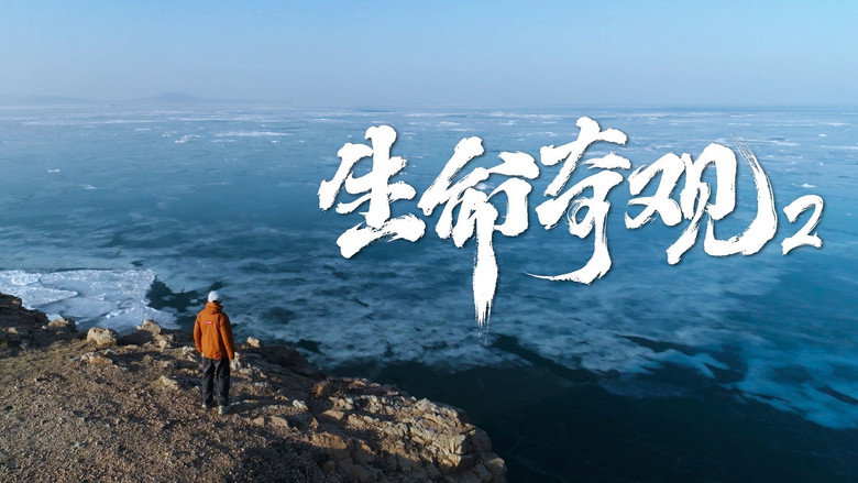 生命奇观2 Screenshot 3