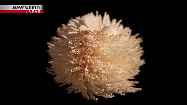 Still image for DESIGN × STORIES season 1 episode 13: Dialogue with Material Part 2