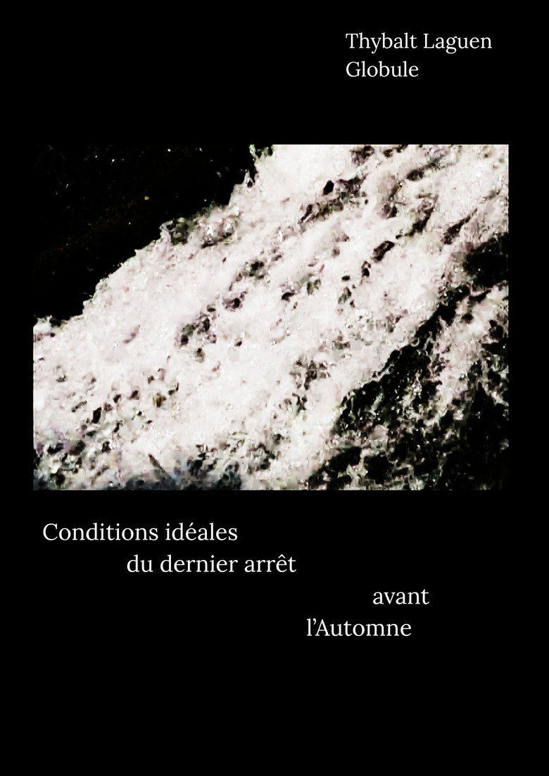 Conditions idéales du dernier arrêt avant l'Automne