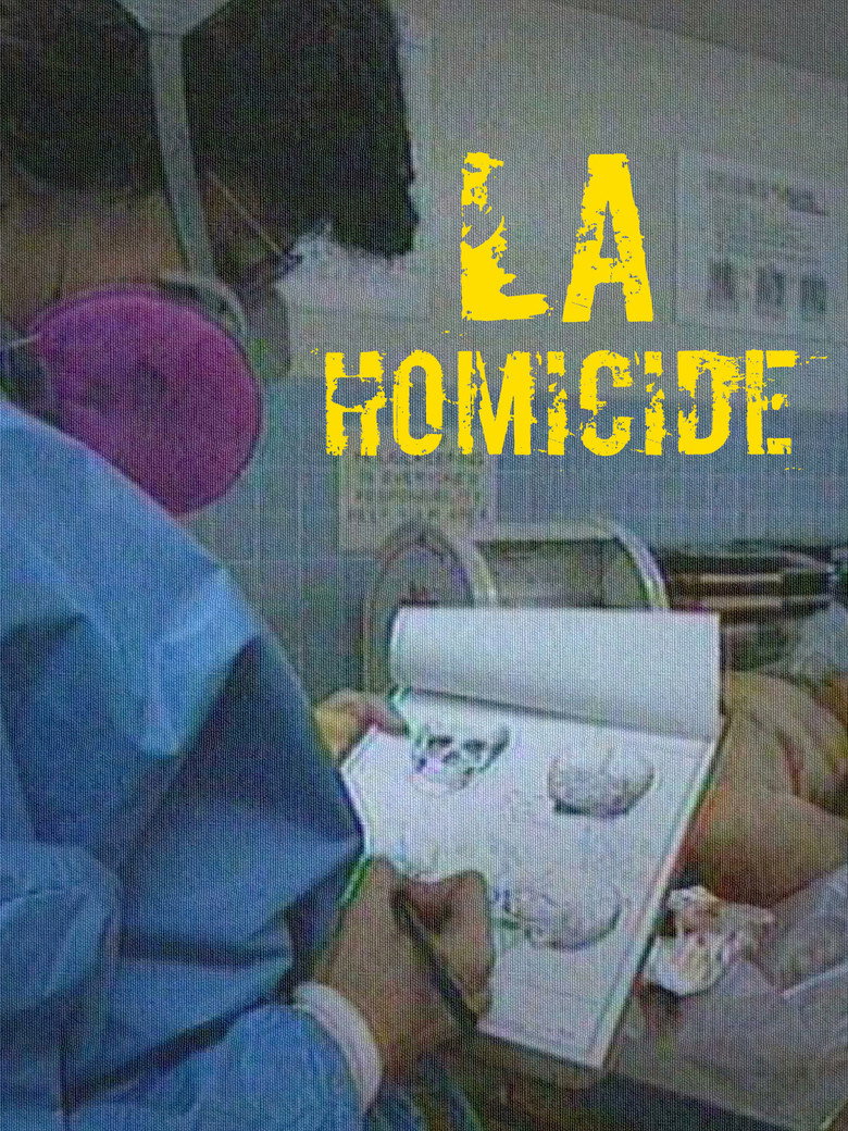 LA Homicide background