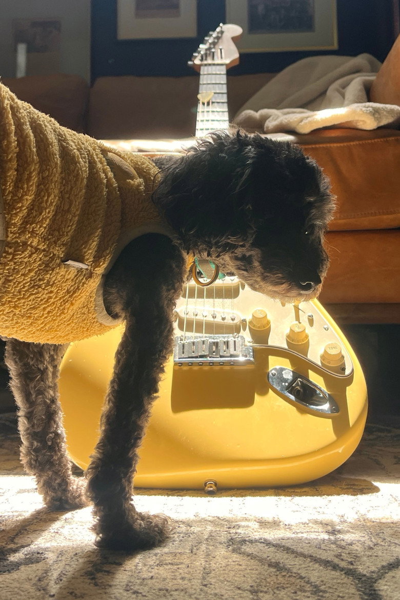 Yellow Guitar background