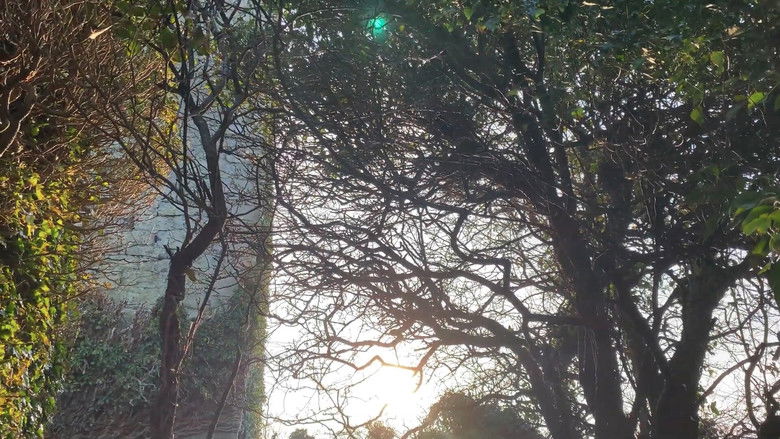 Imatge de The Castle