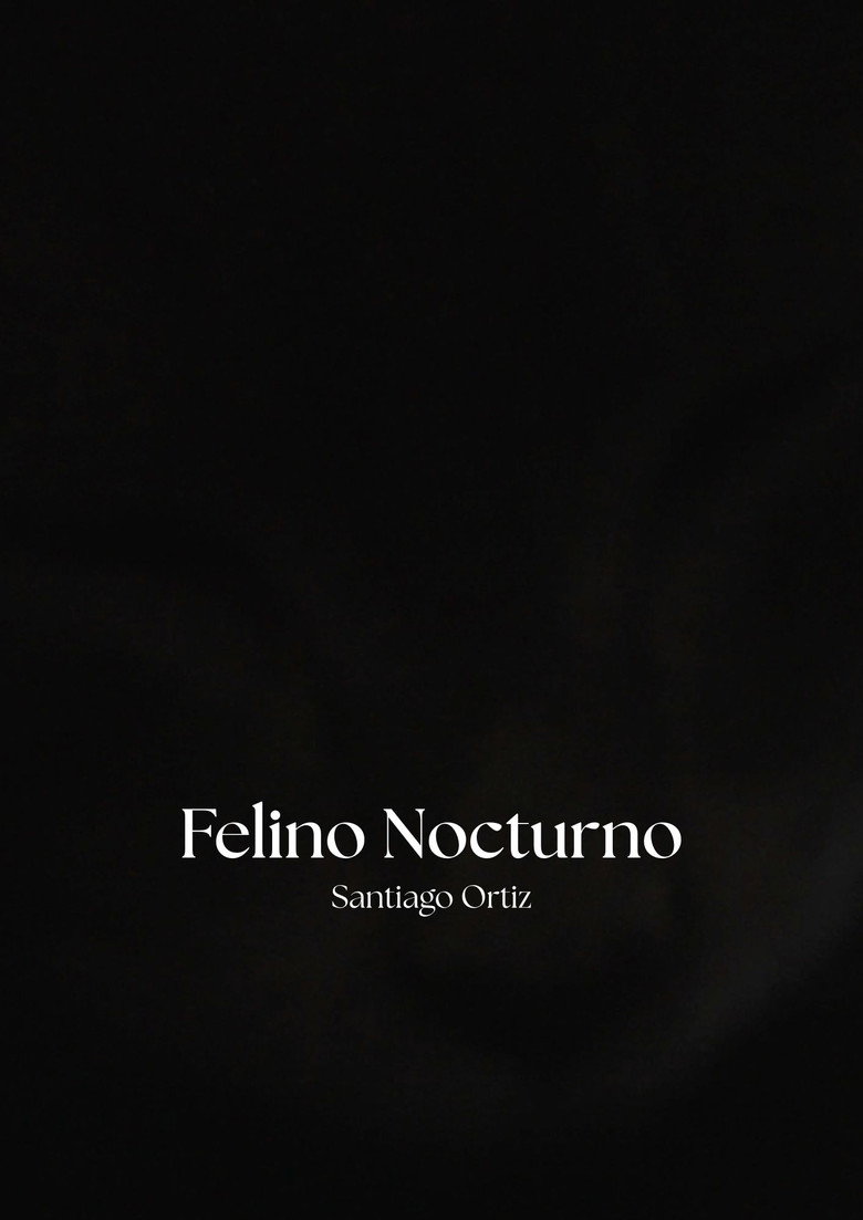 Imatge de Felino Nocturno