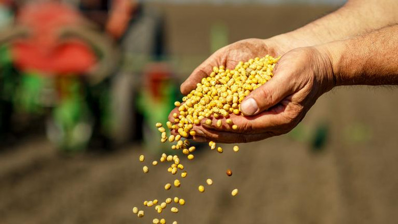 Still image for Geheime Weltmächte season 1 episode 1: Kampf ums Saatgut Still image for Geheime Weltmächte season 1 episode 1: Kampf ums Saatgut