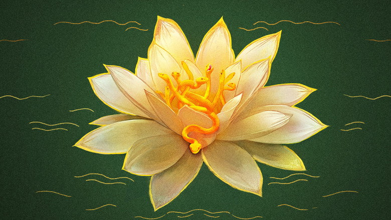 The White Lotus backdrop 44