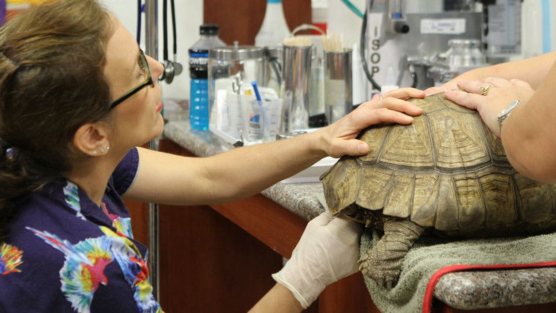 Still image for Dr. K's Exotic Animal ER season 1 episode 2: A Bad Case of Rotten Eggs Still image for Dr. K's Exotic Animal ER season 1 episode 2: A Bad Case of Rotten Eggs