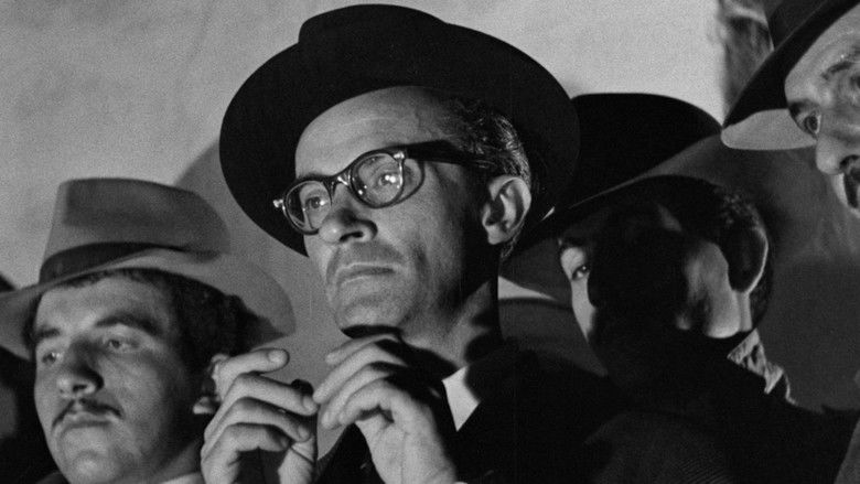 8djmgpp74vtlkak4bkncotfy1cw