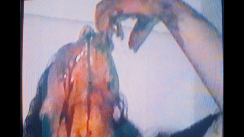 Imatge de The Dirt Knows.