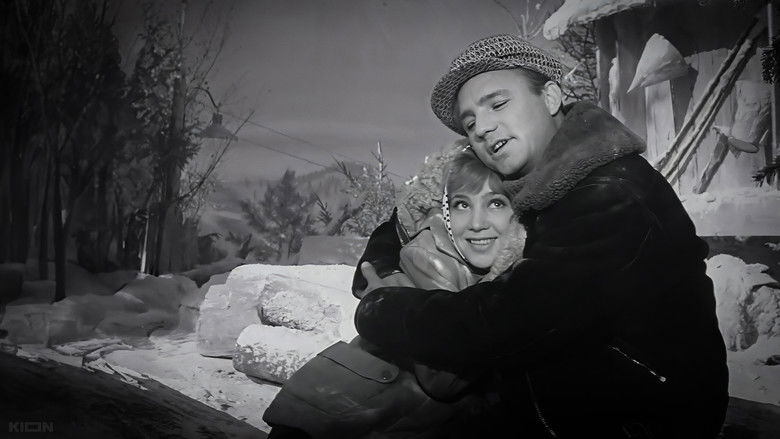 8gn93mmxj0snstf1v6lklqzvkj2