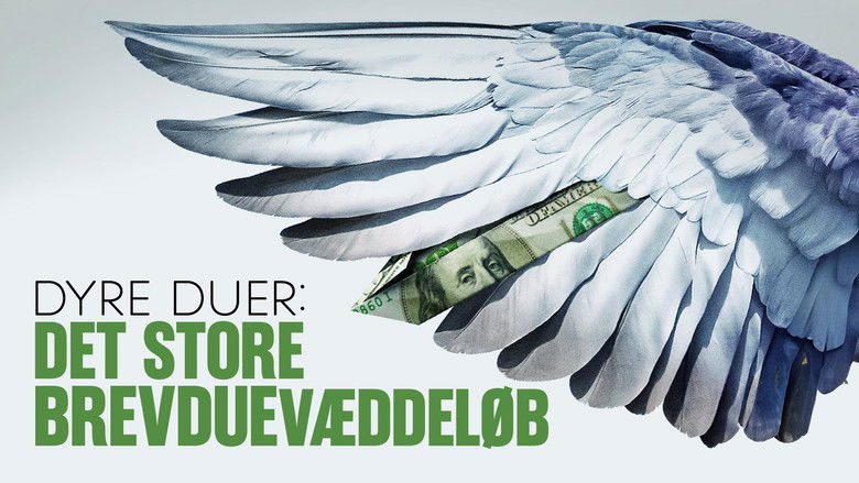 Dyre duer - Det store brevduevæddeløb