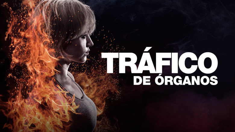 Gallery image from 8Ixcq1pkwVsegkxH4bw0Of5g1bE.jpg