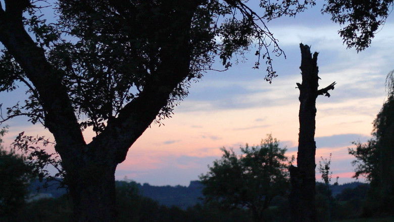 Gallery image from 8JKdXY3SATl2VqBBTFWDryKNcQB.jpg