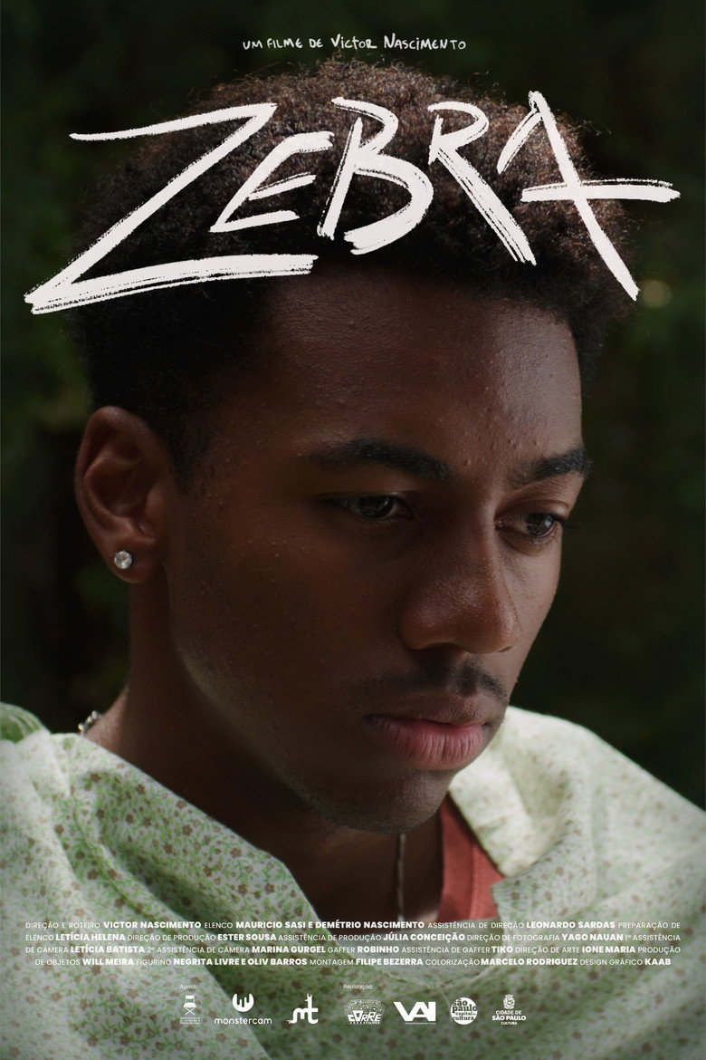 Imatge de Zebra