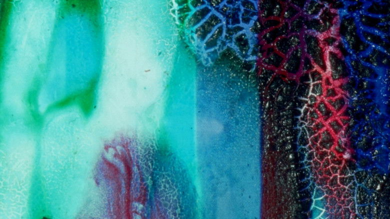 Imatge de Color Neutral