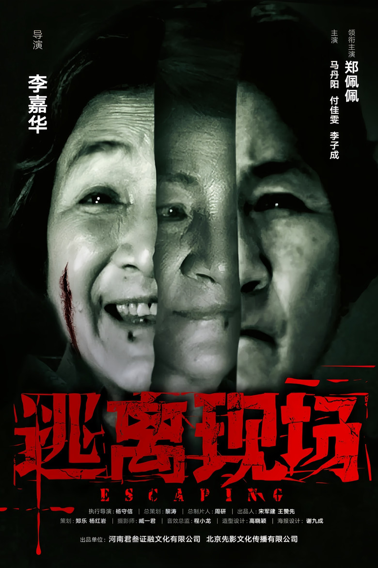逃离现场 poster