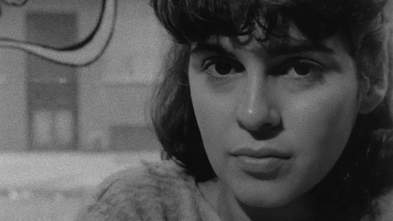 Backdrop for The Cold Eye (My Darling, Be Careful)