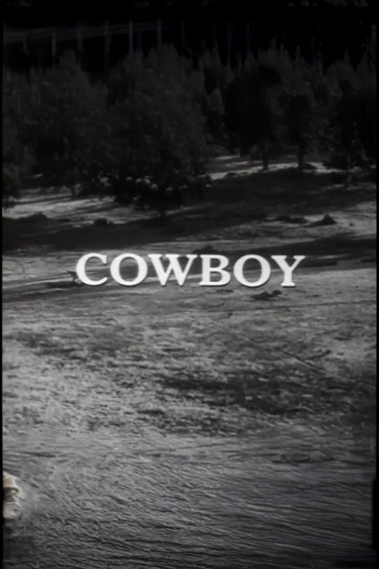 Affiche de COWBOY
