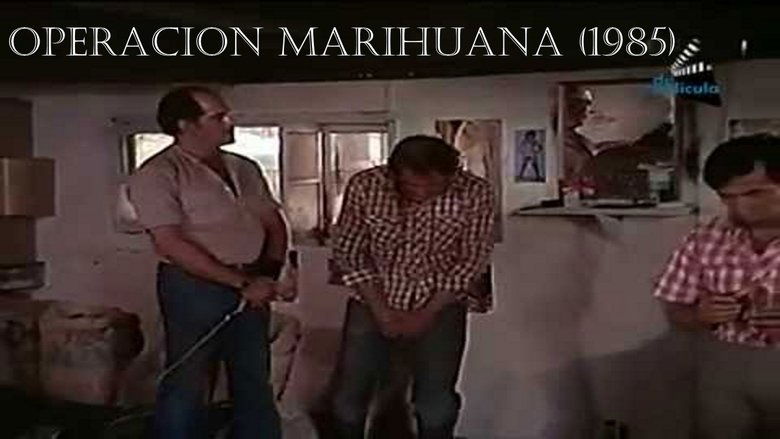 Operacion marihuana movie poster