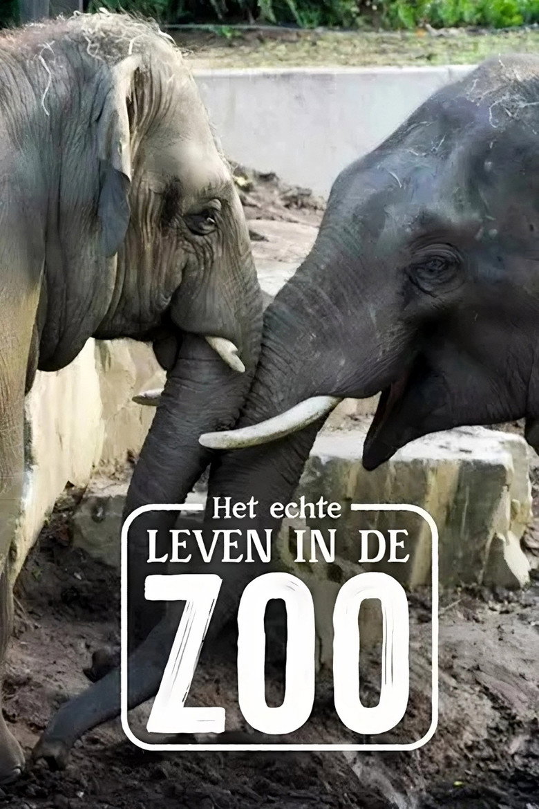 Official poster for Het Echte Leven in de ZOO