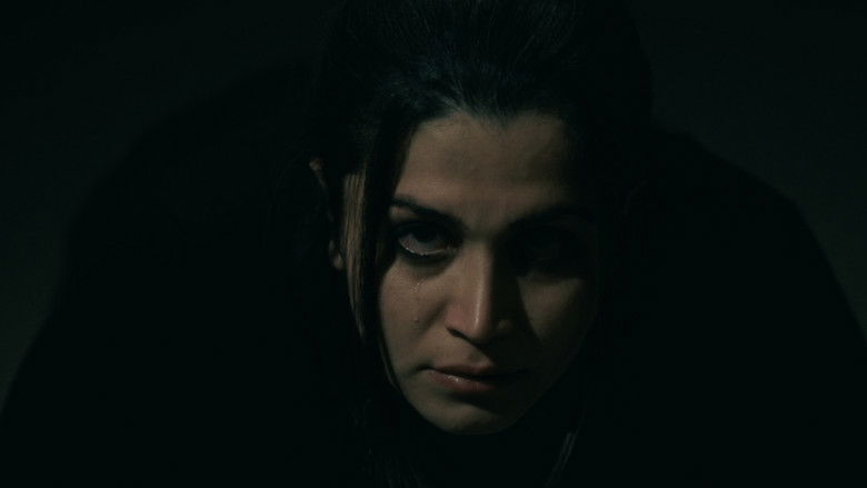 Image d'arrière-plan 5 du film Visualization