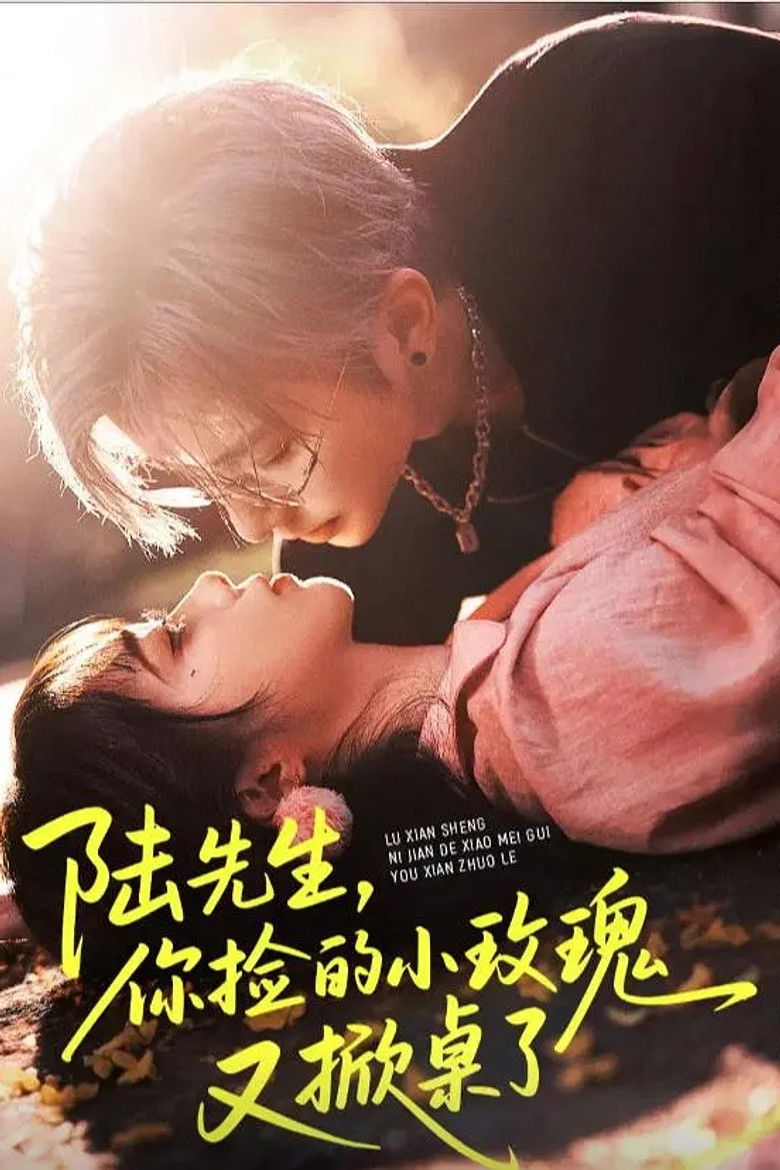 陆先生你捡的小玫瑰又掀桌了