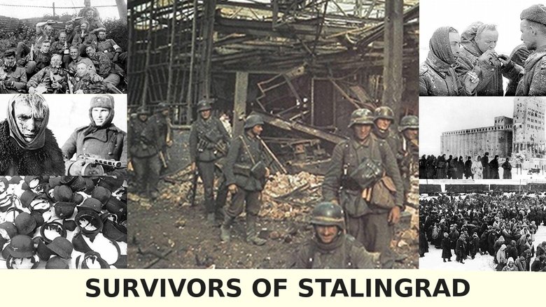 Survivors of Stalingrad backdrop