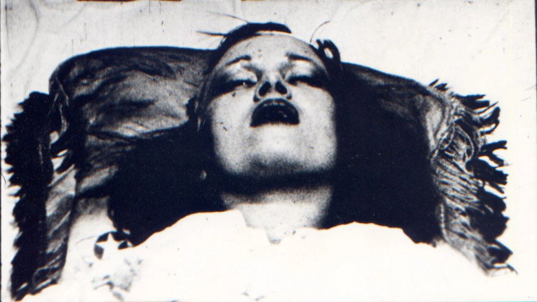 Ecstatic Stigmatic