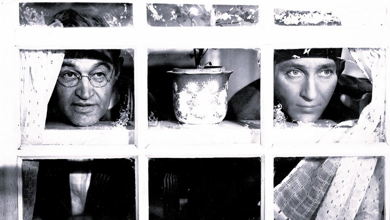 Welcome Stranger (1947)