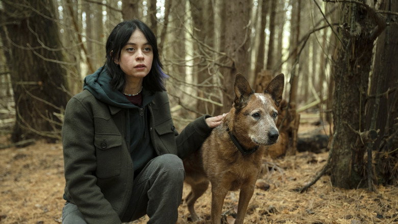 Still from Orphan Black: Echoes - Season 1 Episode 7
