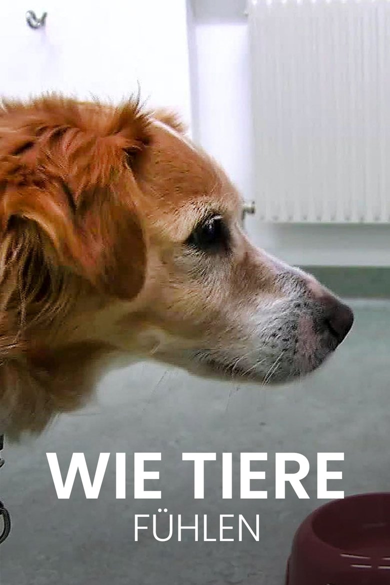 Wie Tiere fühlen main poster