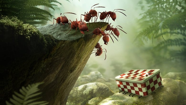 Minuscule: Valley of the Lost Ants (2013) หุบเขาจิ๋วของเจ้ามด