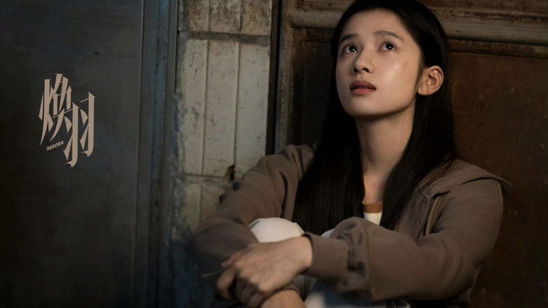 Gallery image from 8NxPTof96m4oG5zKioWiWsO8Yr2.jpg