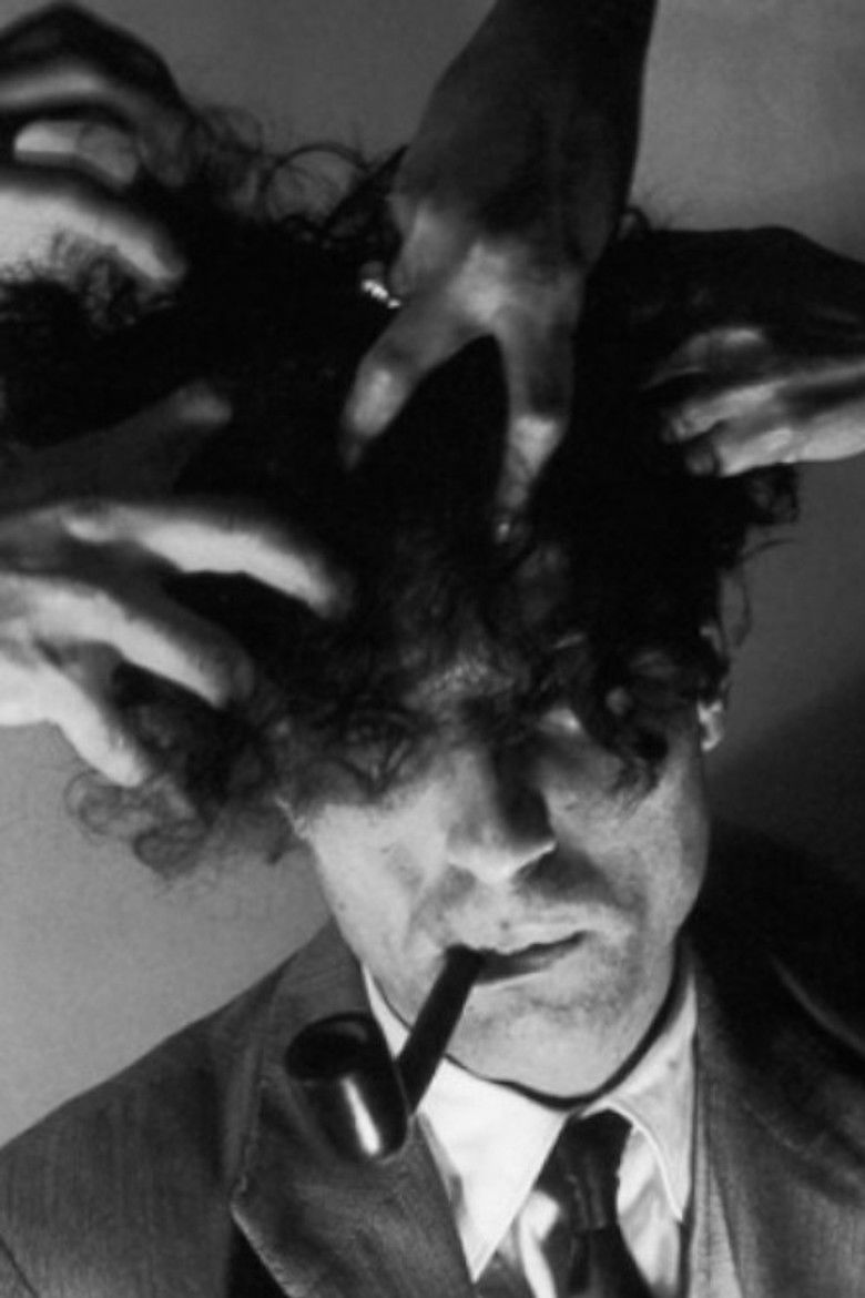 Imatge de Fernando Lemos - Como, Não é Retrato?