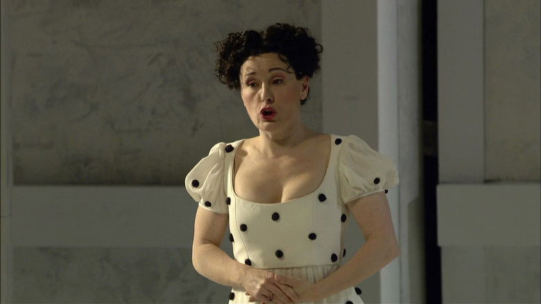 Image d'arrière-plan 2 du film Il Barbiere di Siviglia