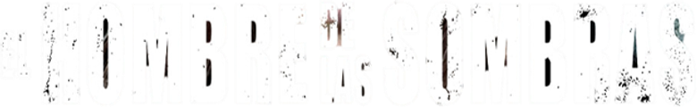 Imagen de El hombre de las sombras