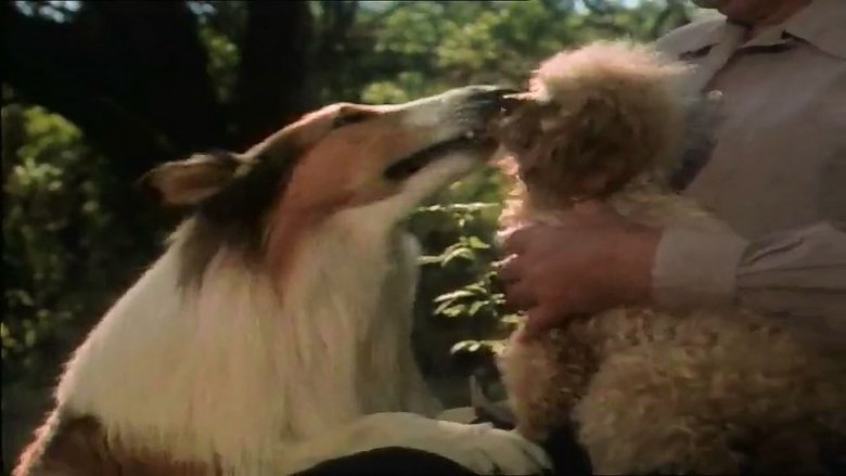 The Magic of Lassie movie poster