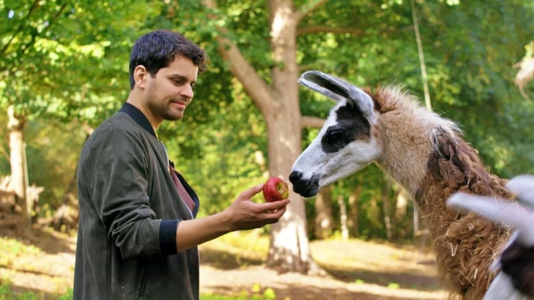 Schlechte Helden oder ein Lama namens Beethoven