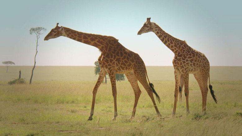 Still image for Mâles vs Femelles season 1 episode 1: Episode 1