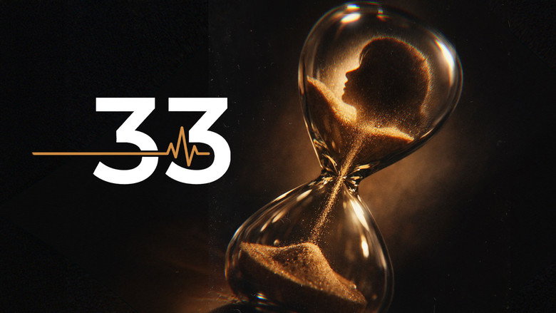 33 1
