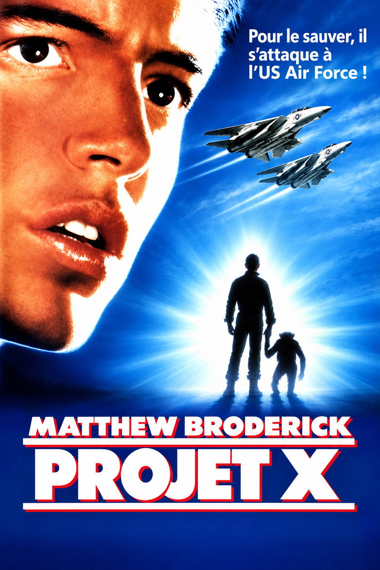 Póster la Película