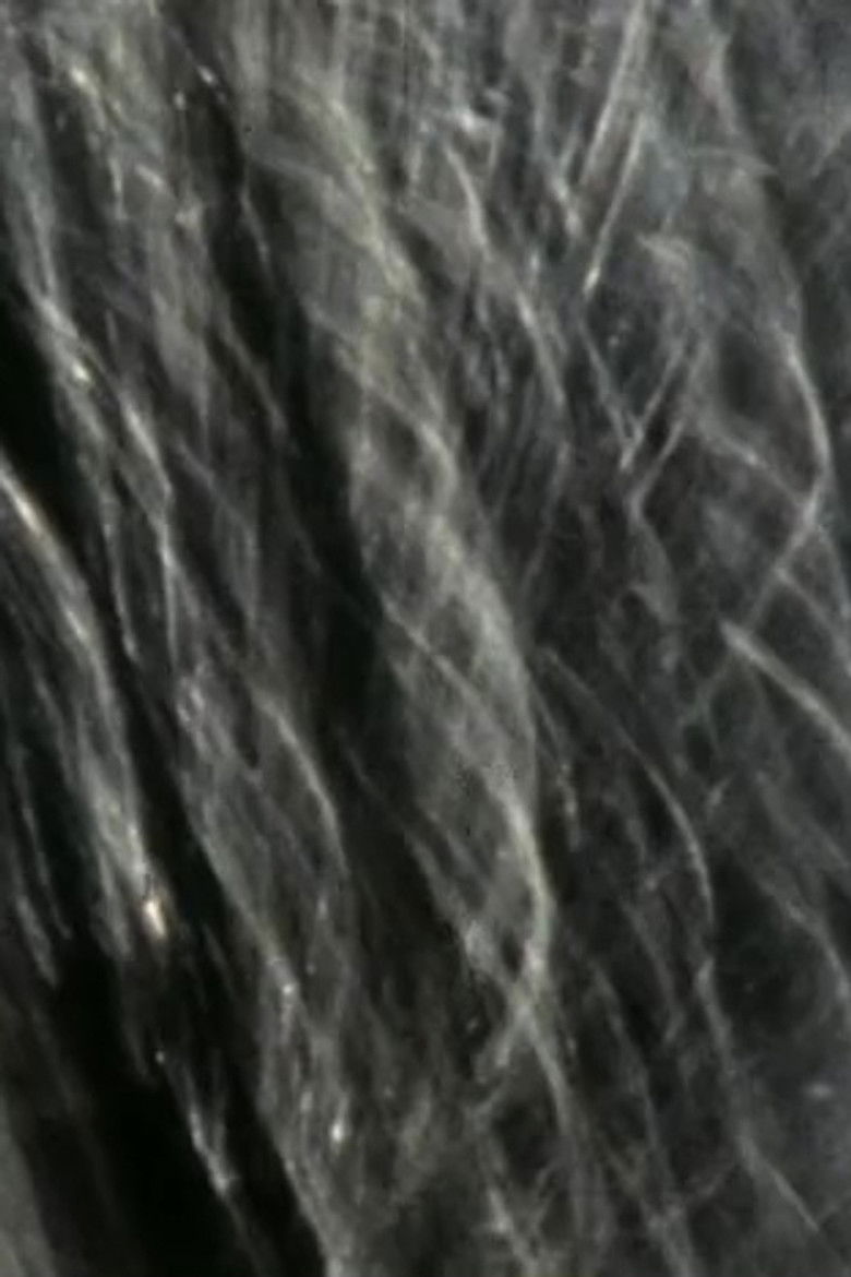 Imatge de Pluie de roses (à Rose Lowder)