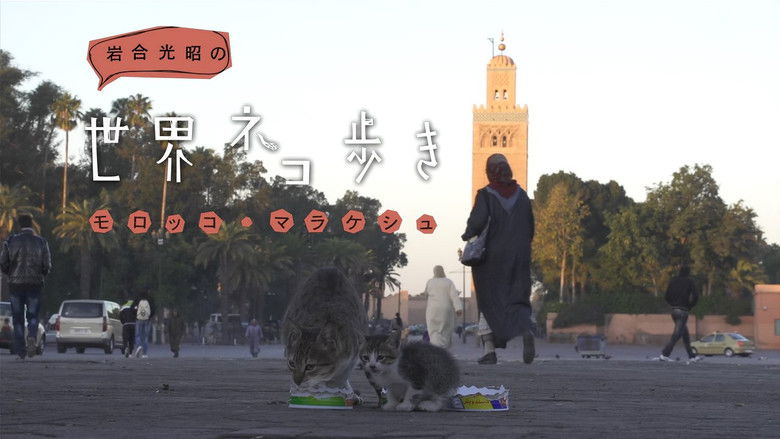 Still image for Mitsuaki Iwago's World “Cats” Travelogue season 1 episode 6: Marrakesh, Morocco Still image for Mitsuaki Iwago's World “Cats” Travelogue season 1 episode 6: Marrakesh, Morocco