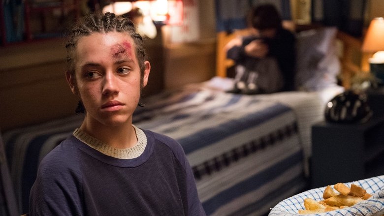 Shameless Sezonul 6 Episodul 8 Online Subtitrat in Romana