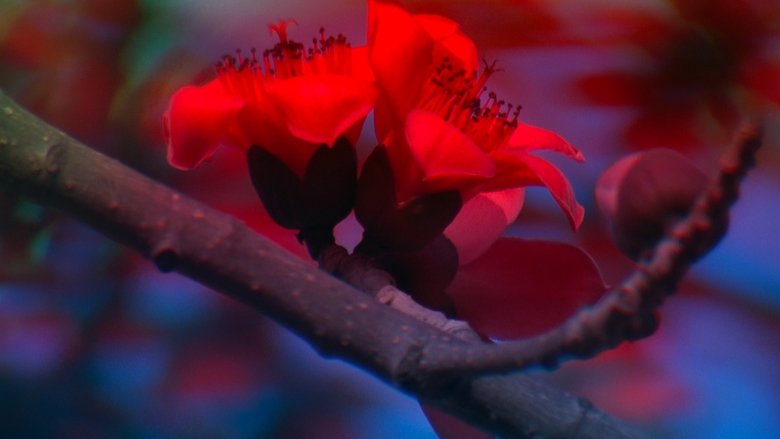 Gallery image from 8QqBfpN6JH8F4zTCOLmHUmnVoWo.jpg