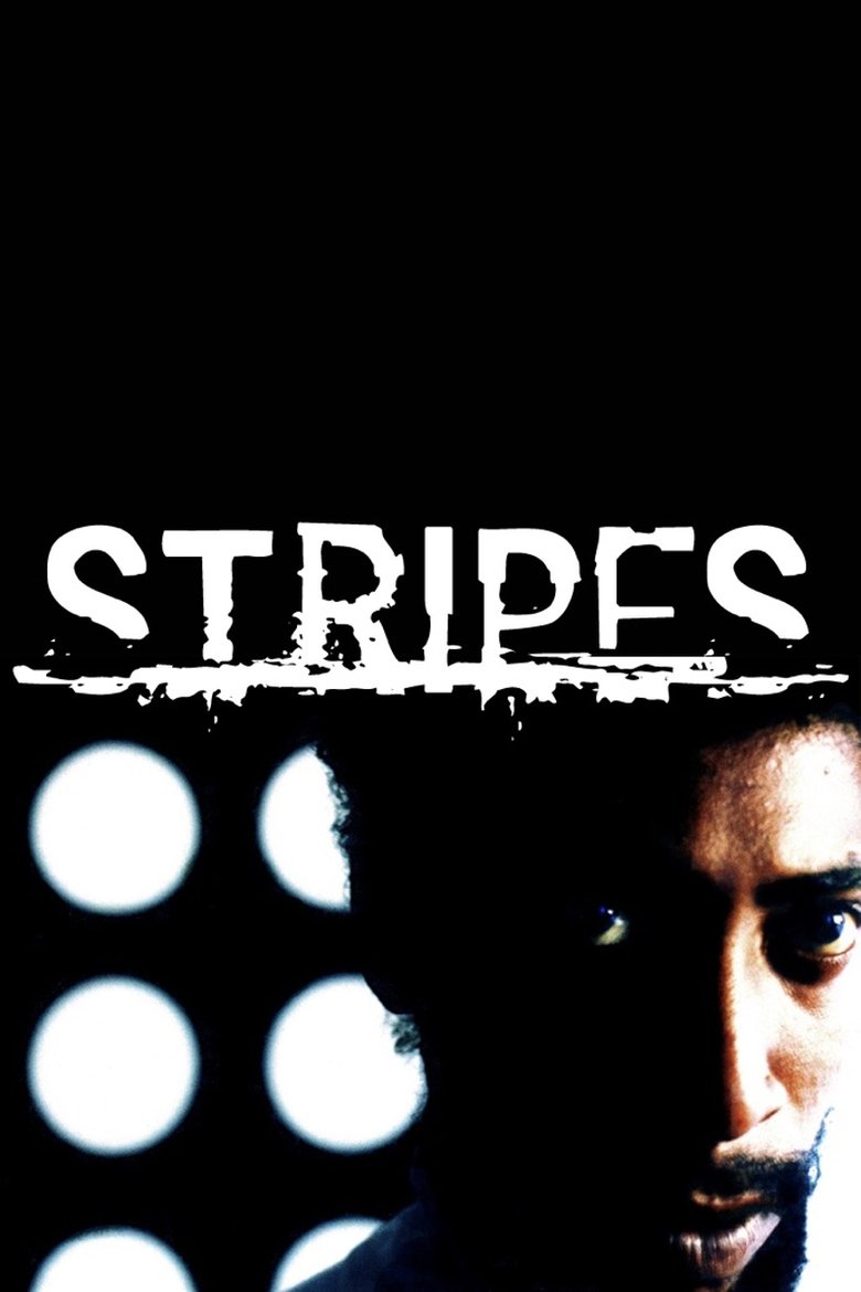Stripes main poster